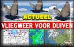 vliegweer voor duiven bij WEERHUISKE.nl