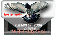WEERHUISKE.nl - vliegweer voor duiven