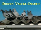 WEERHUISKE.nl - Duiven Valcke-Desmet