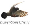 WEERHUISKE.nl - duivencompetitie.nl